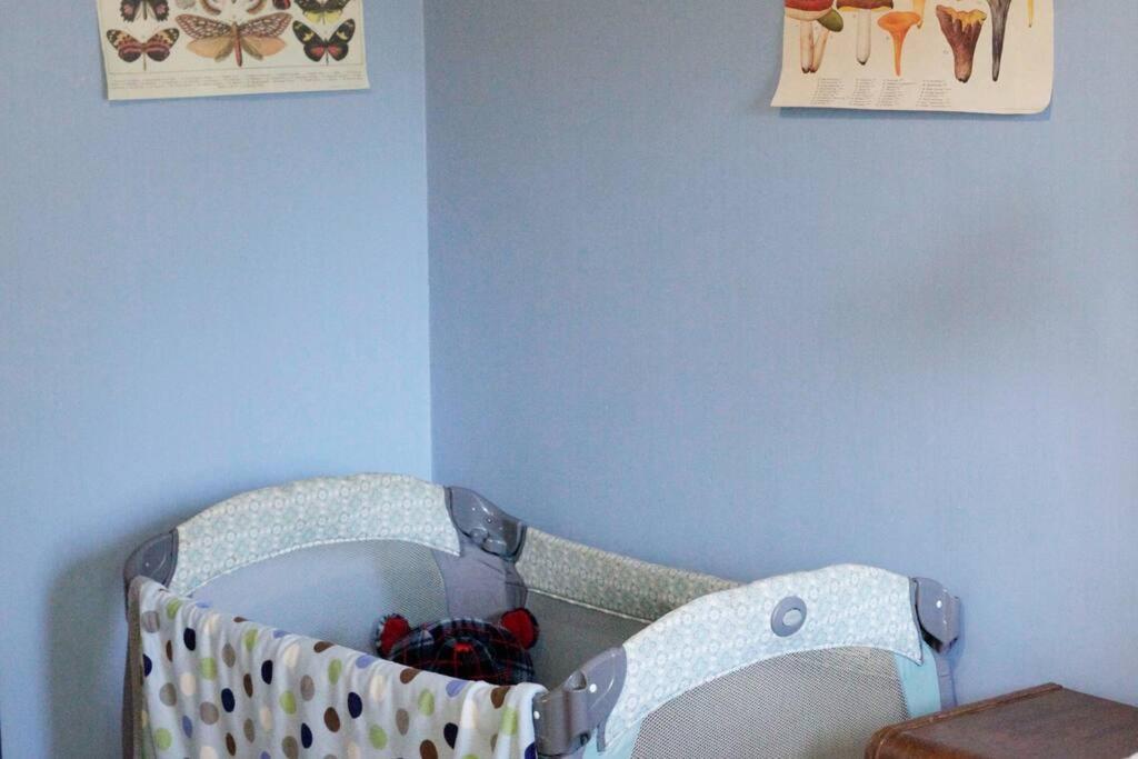 Beautiful, Historic Family Home Near Lake Merritt أوكلاند، كاليفورنيا المظهر الخارجي الصورة