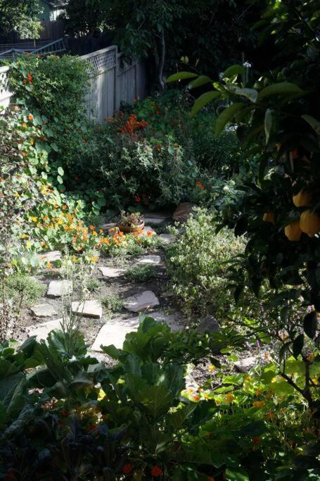 Beautiful, Historic Family Home Near Lake Merritt أوكلاند، كاليفورنيا المظهر الخارجي الصورة