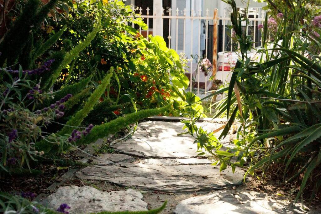 Beautiful, Historic Family Home Near Lake Merritt أوكلاند، كاليفورنيا المظهر الخارجي الصورة