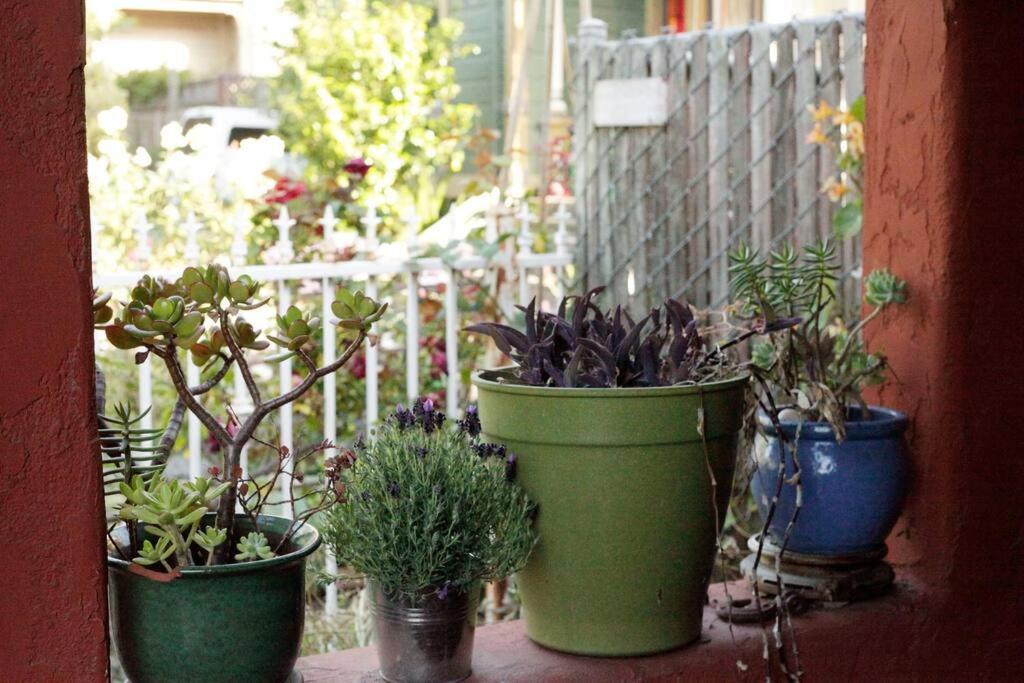 Beautiful, Historic Family Home Near Lake Merritt أوكلاند، كاليفورنيا المظهر الخارجي الصورة